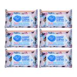 دستمال مرطوب پاک کننده آرایش دافی مدل Anti bacterial مجموعه 6 عددی