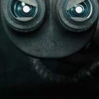 سیم چین (2014)