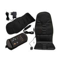 قلم طب سوزنی و ماساژور کارینا مدل W-912R