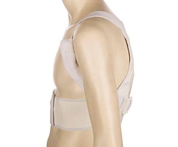 قوزبند پاک سمن مدل Elastic With Towelly Taylor سایز کوچک