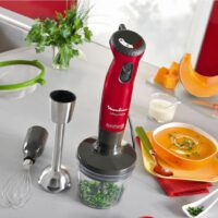 گوشت کوب برقی مولینکس مدل DD86