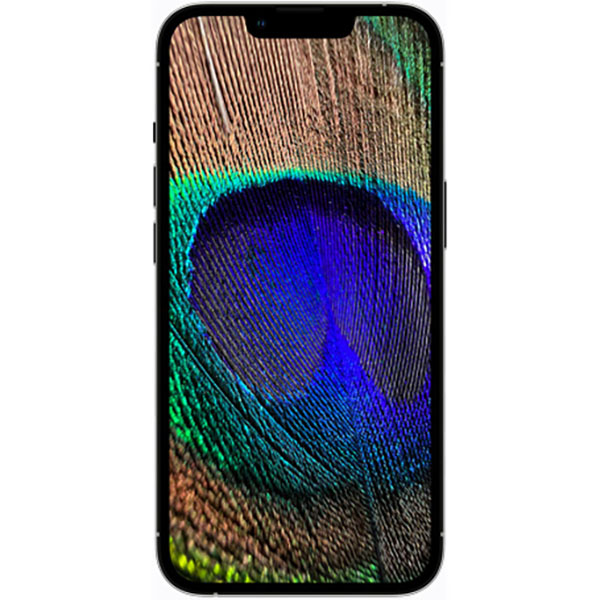 گوشی موبایل اپل مدل iPhone 13 Pro Max A2644 دو سیم‌ کارت ظرفیت 1 ترابایت و رم 6 گیگابایت - اکتیو