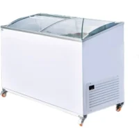 فریزر بستنی 400 لیتری مدل Z400CF پلاریس